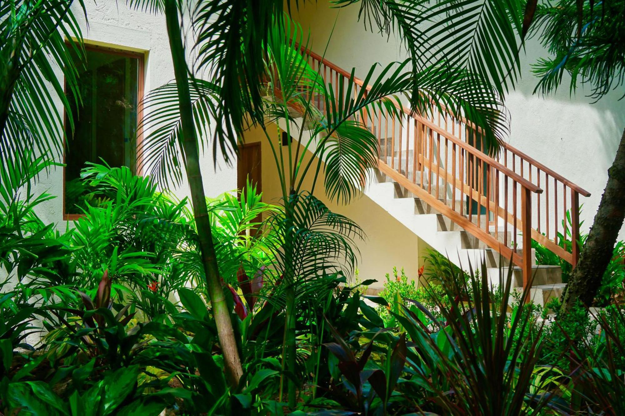 Masaya Tayrona & Beach Club Guachaca ภายนอก รูปภาพ